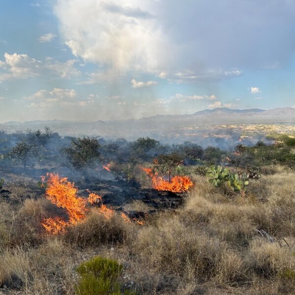 Flood Fire: Area Returns to ‘Ready’ Status