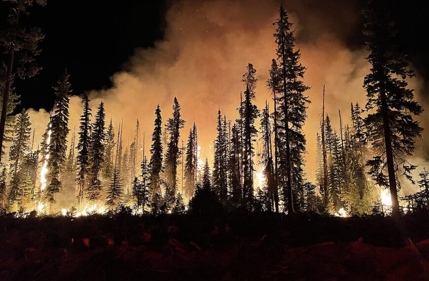 Wildfires and Notification: Understanding Pinal County’s Alert Systems