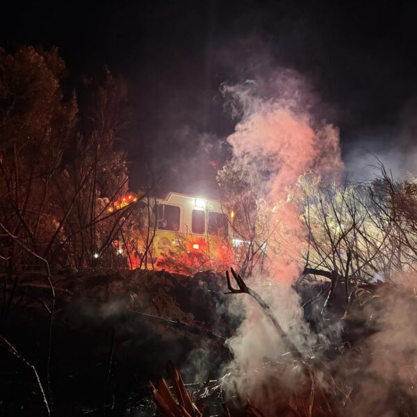 Christmas Eve Brush Fire Keeps Rural Metro Crews Away from Holiday
