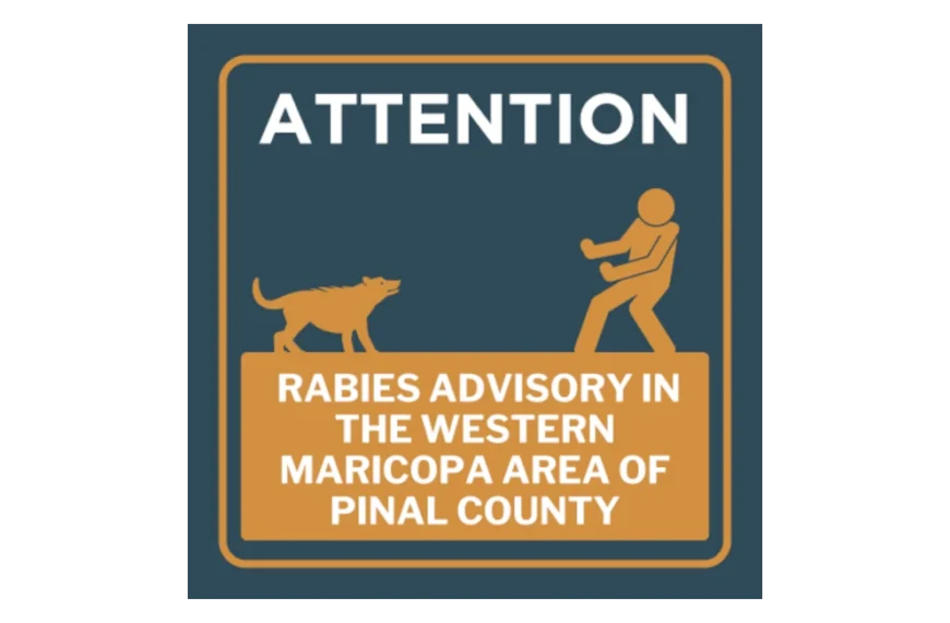 Rabies! Gray Fox Tests Positive in Western Maricopa Area of Pinal County