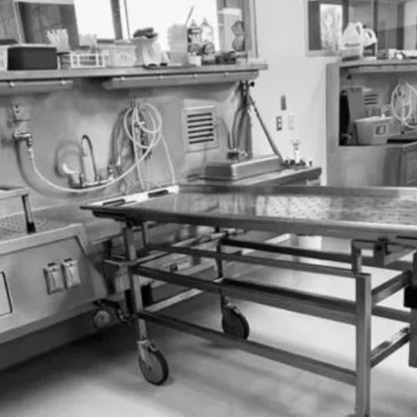 Medical Examiner’s Office Releases 2024 Annual Report Revealing Key Death Trends