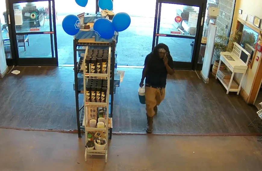 CG Police Seek Public’s Help in Identifying Theft…