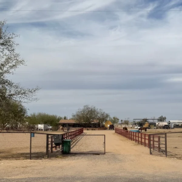 Board Remands Dog Kennel Permits to Planning Commission After Staff Amends Stipulations