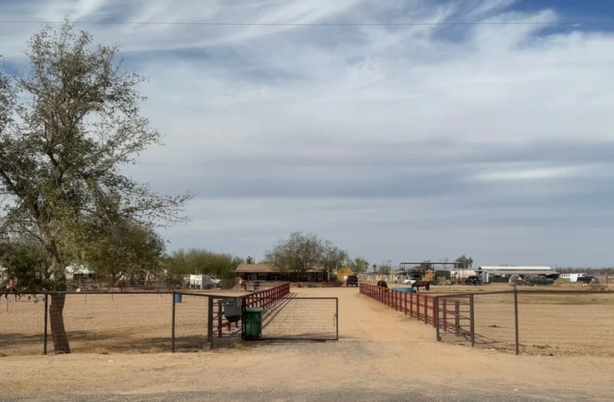 Board Remands Dog Kennel Permits to Planning Commission After Staff Amends Stipulations