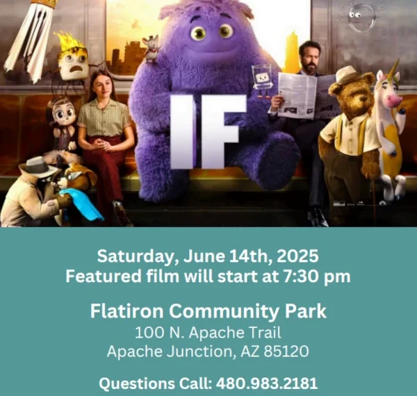 Movie In The Park