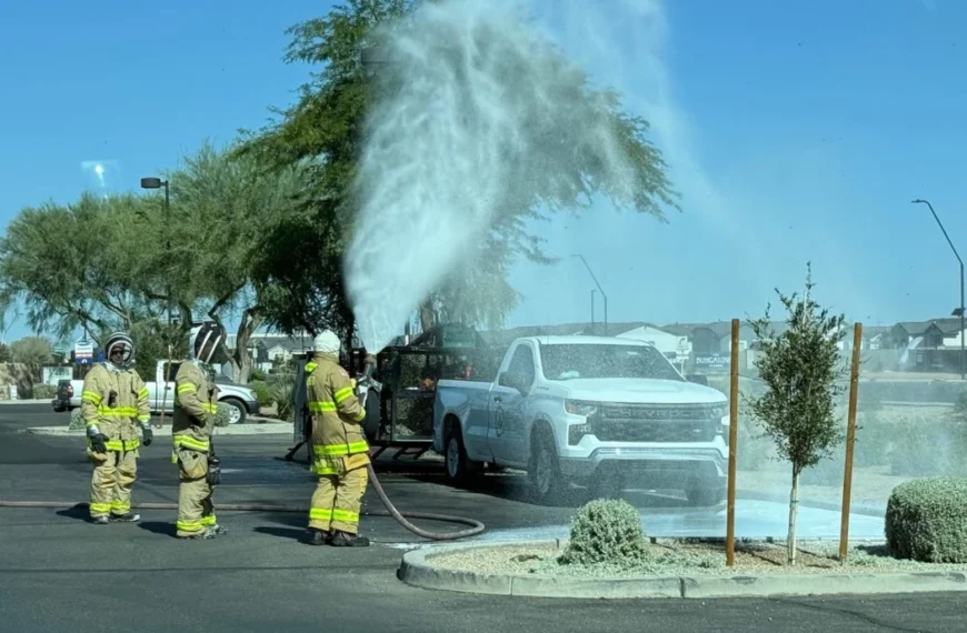 Rural Metro Responds to Bee Swarm Attacks in…