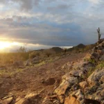Casa Grande City Council Preserves…