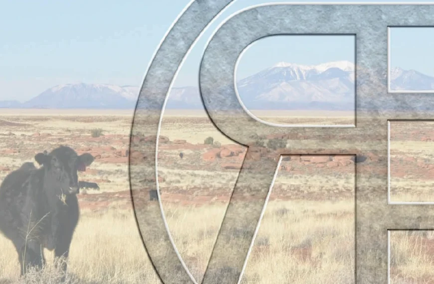 Pinal County Board Rejects Rio Blanco Development Amid…