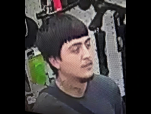 CPD Seeks Help in Theft…