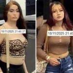 Public Sought to Help Identify…