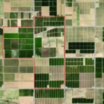 Cactus Flower Solar and Battery…