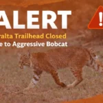 Peralta Trailhead Closed After Aggressive&hellip;