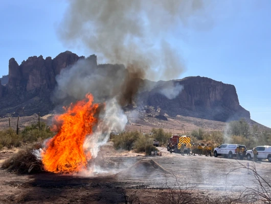 Prescribed Fire at Lost Dutchman State Park Scheduled for January 20
