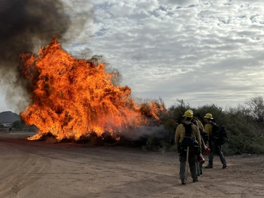 Prescribed Pile Burn Set for Picacho Peak April 9