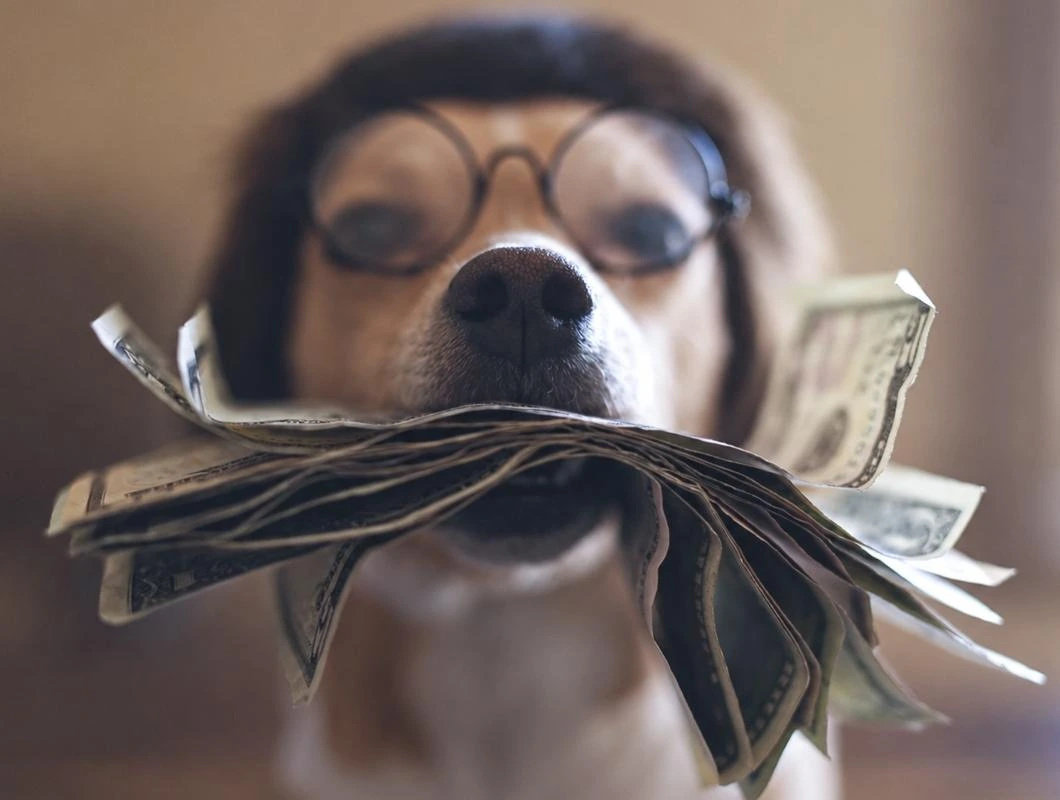 La Osa Data Center: Where Does the $100 Million Actually Go?
