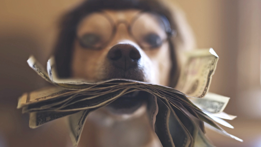 La Osa Data Center: Where Does the $100 Million Actually Go?