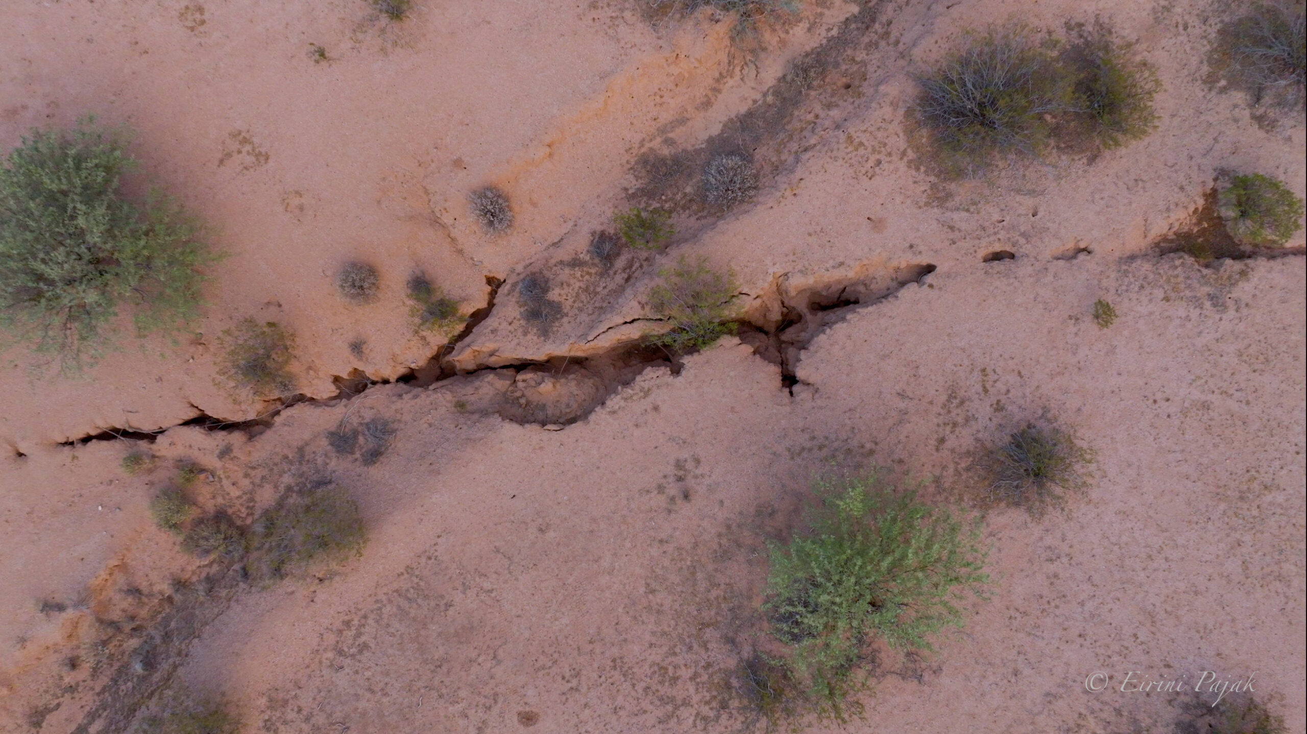 Overhead view of a jagged crack splitting open the pink desert soil, scattered green shrubs on either side.