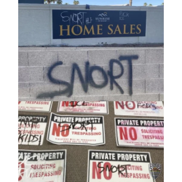 Graffiti Suspect in Custody After…