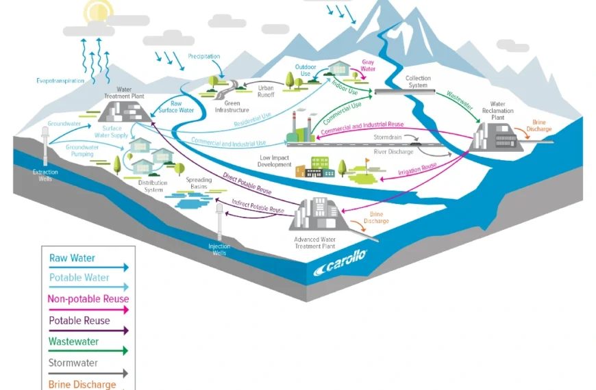Carollo Engineers' integrated water cycle diagram, presented to the Florence Town Council on June 16, 2026, maps the connections among surface water, groundwater, treatment, distribution, wastewater, and reuse systems. (Image: Carollo Engineers)