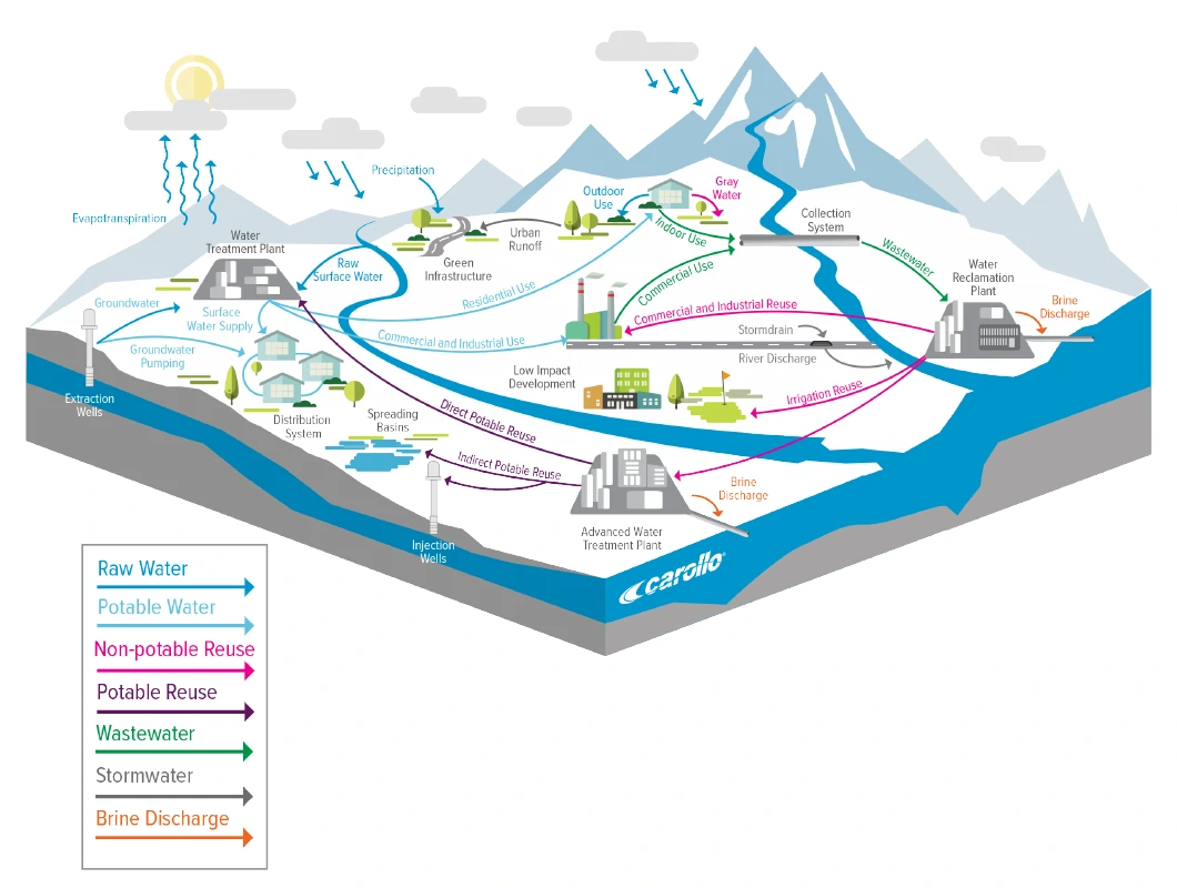 Carollo Engineers' integrated water cycle diagram, presented to the Florence Town Council on June 16, 2026, maps the connections among surface water, groundwater, treatment, distribution, wastewater, and reuse systems. (Image: Carollo Engineers)