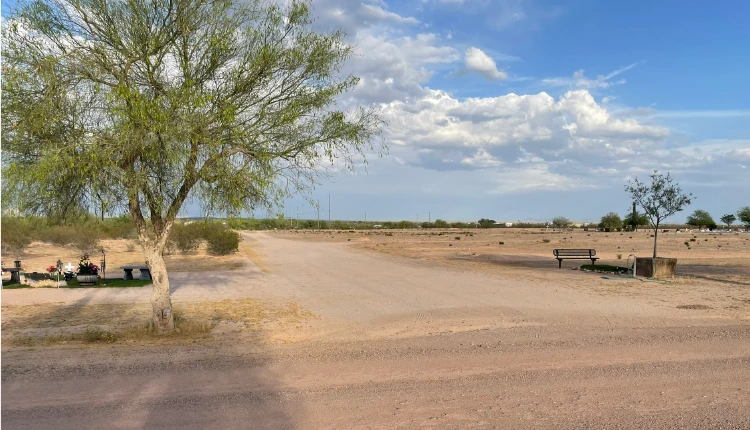 A bare interior dirt road at Florence Memorial Park with a single tree a bench and scattered headstones marked as the proposed site for the new columbaria cremation garden