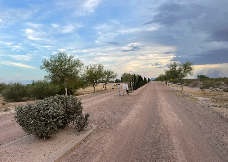 A road in the Florence Cemetery Memorial Park with trees and shrubs along the side of the road
