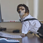 Code Update: Fewer Explicitly Banned&hellip;