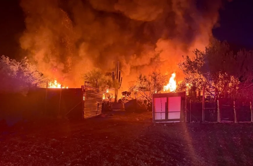 Flames and heavy smoke rise from a mobile home and outbuildings at night during the Apache Junction mobile home fire, with saguaro cactus silhouetted against the blaze.