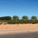 Rendering of the Valley Farms Energy Center's southern edge along East Bartlett Road, showing the planned oleander screening.