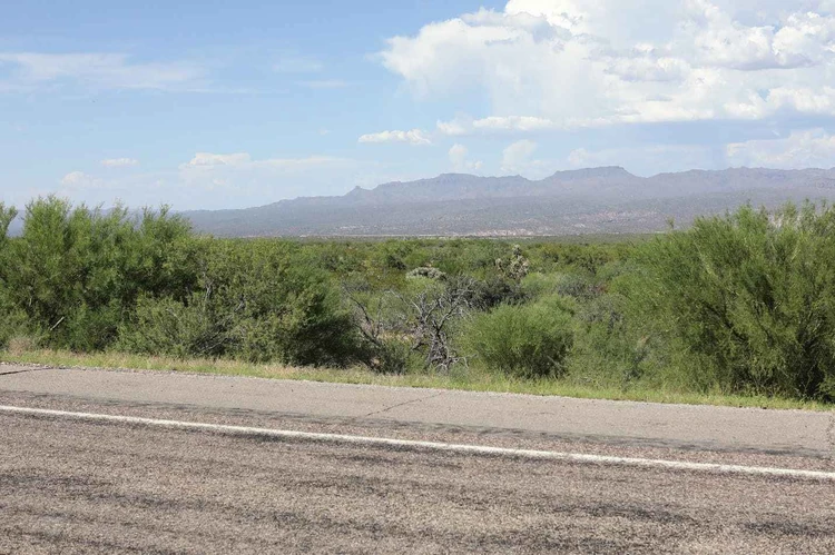 View of the Ore Town Solar site from Veterans Memorial Boulevard Beyond the roads edge thick desert vegetation covers ground that slopes down and away toward mountains on the horizon leaving little of the site itself visible from the roadway